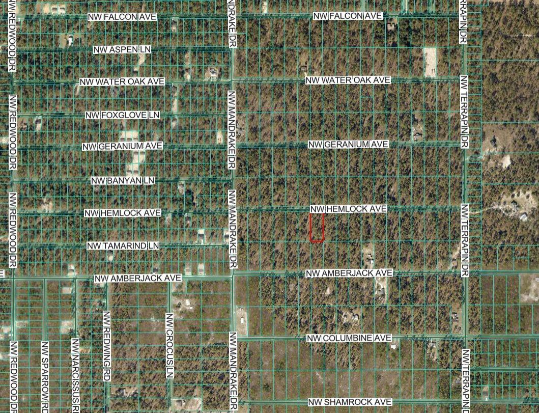 Lot 7 Hemlock Avenue, FL