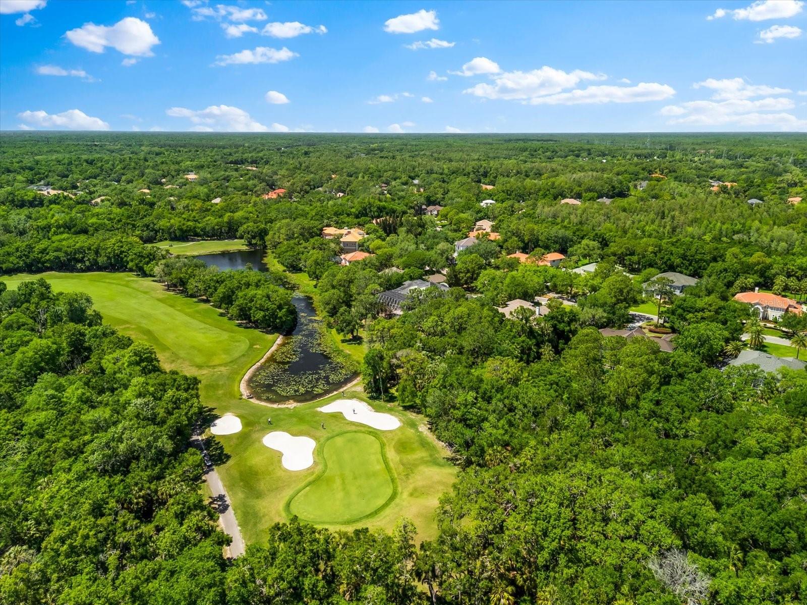 6413 Maclaurin Drive, FL