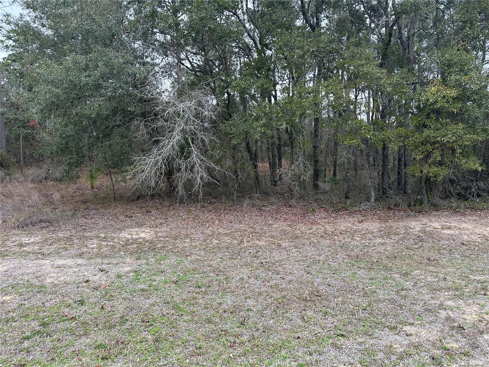 0000 123 Rd Terrace, FL