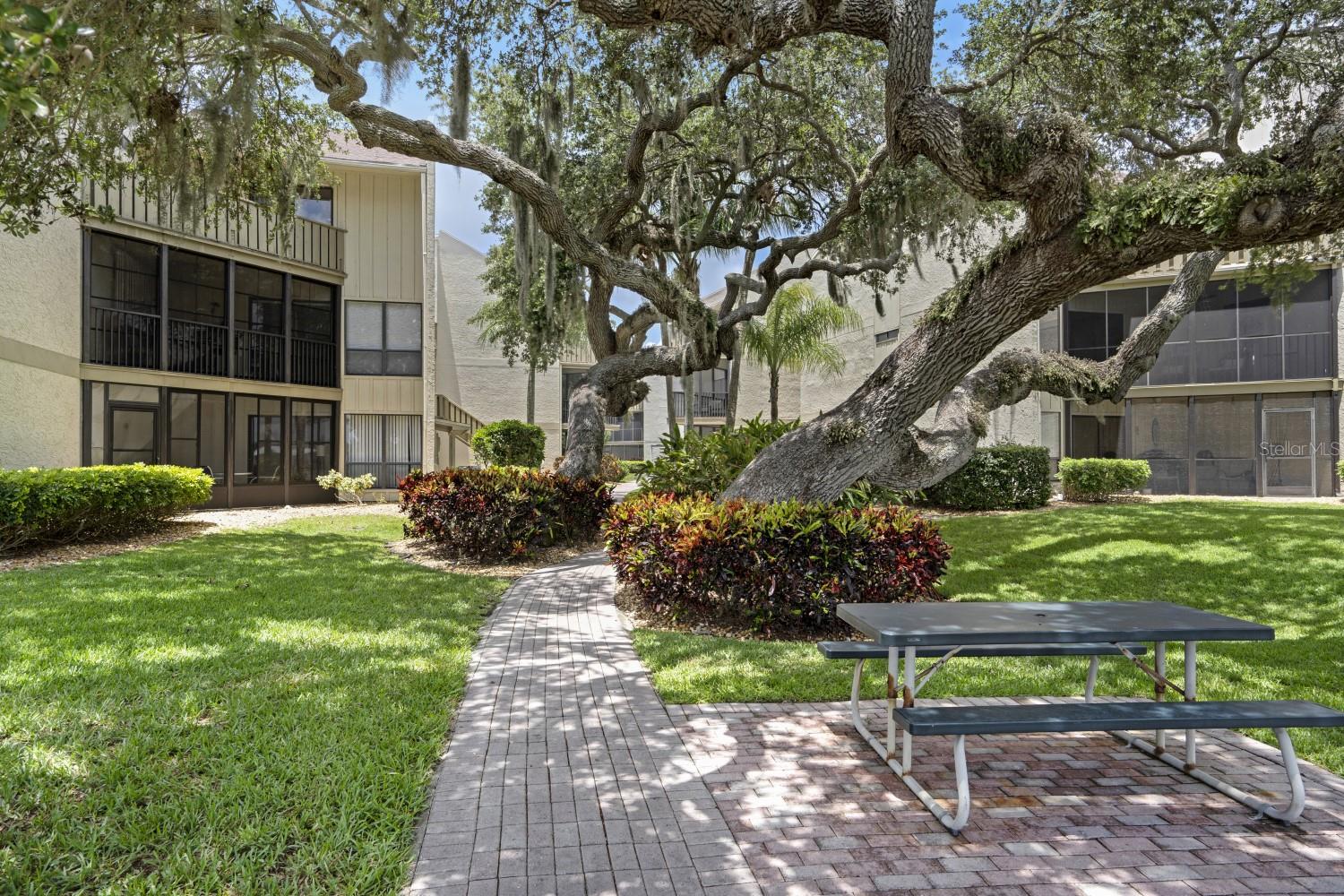 6157 Midnight Pass Road, FL