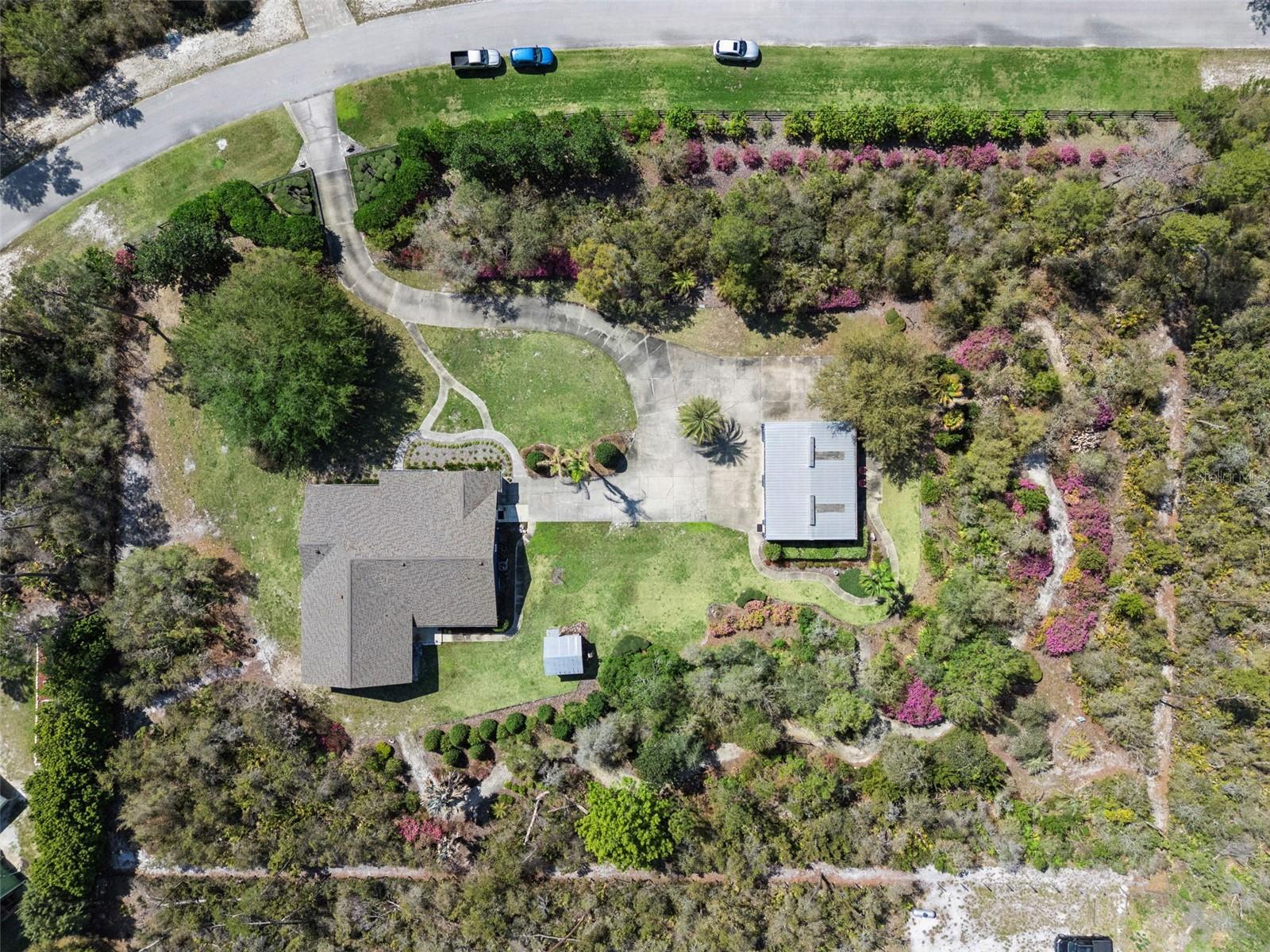 37008 Forestdel Drive, FL