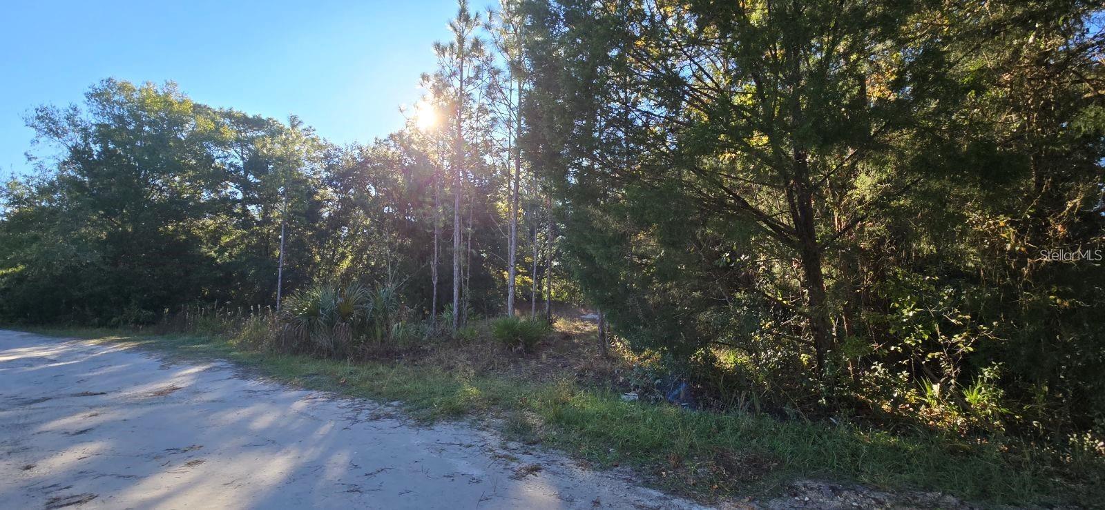 7784 W Twin Canal Ln, FL