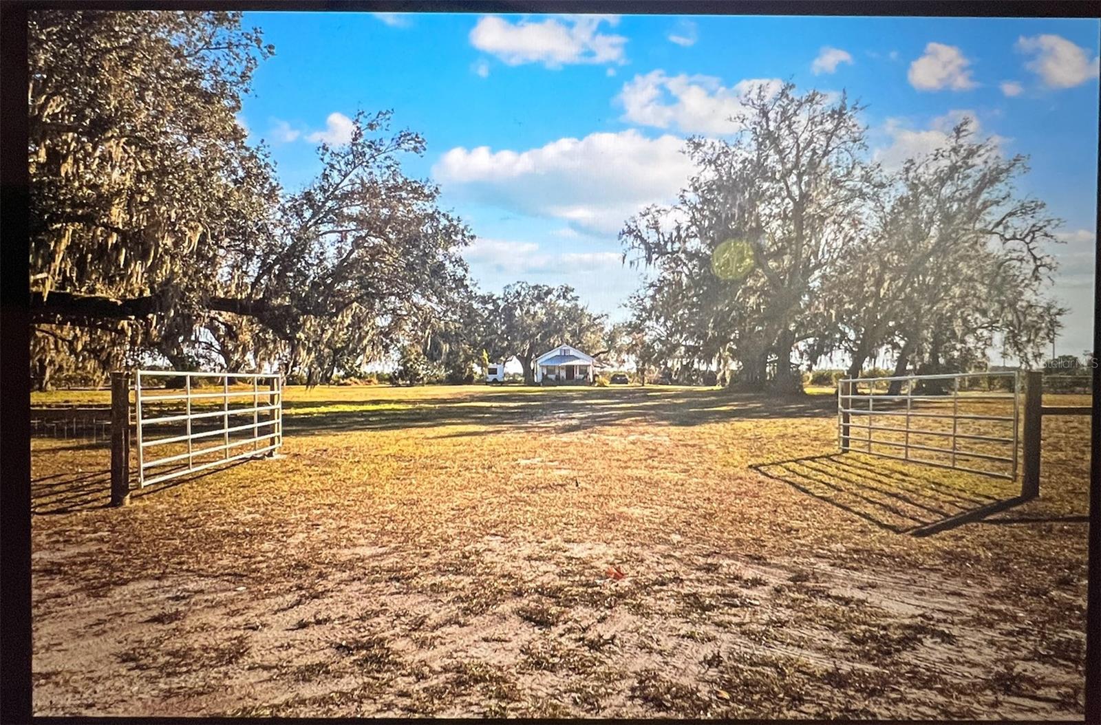 8423 Pine Level Street, FL