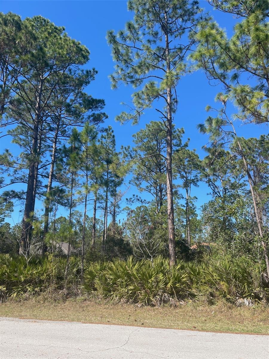 36 Seagoing Trl, FL