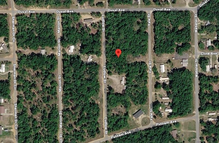 Ludlow St, FL