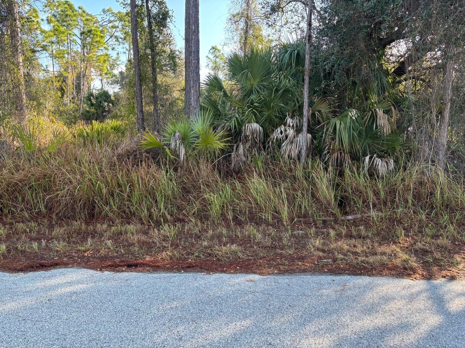Bismarck Rd, FL
