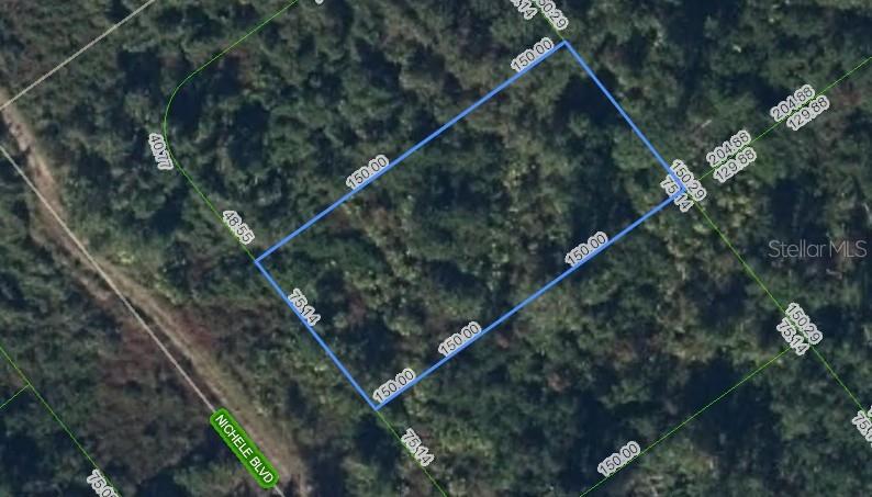 455 Nichele Boulevard, FL