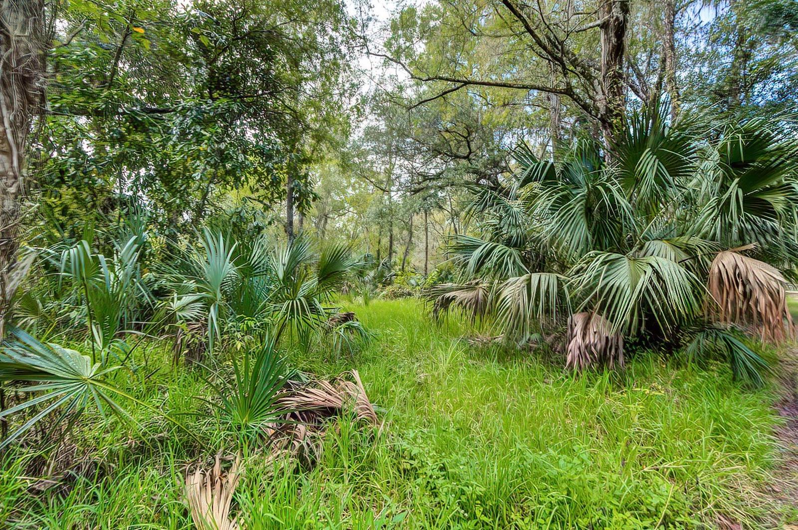 14902 Dead River Rd, FL