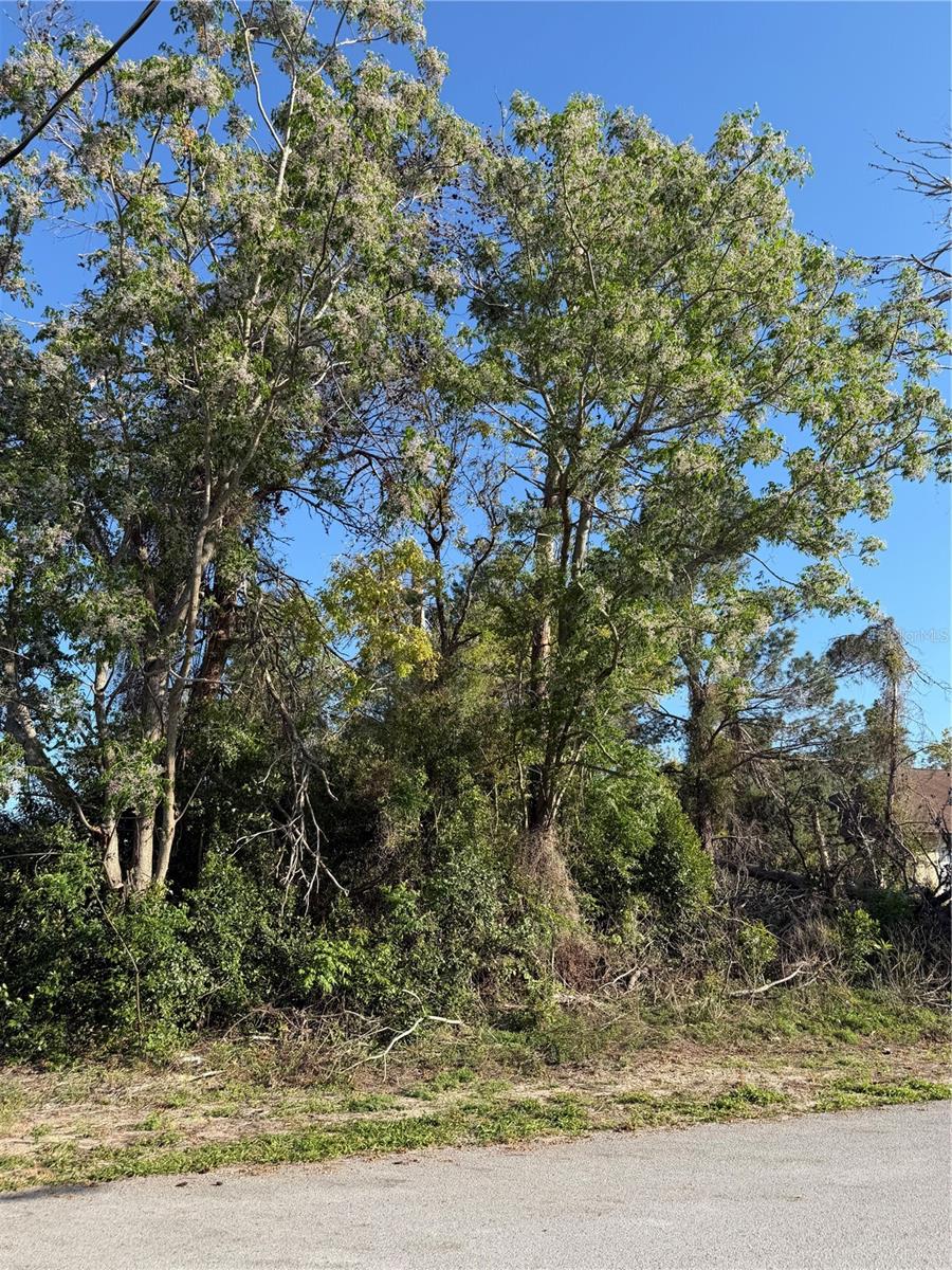 11230 Montcalm Rd, FL