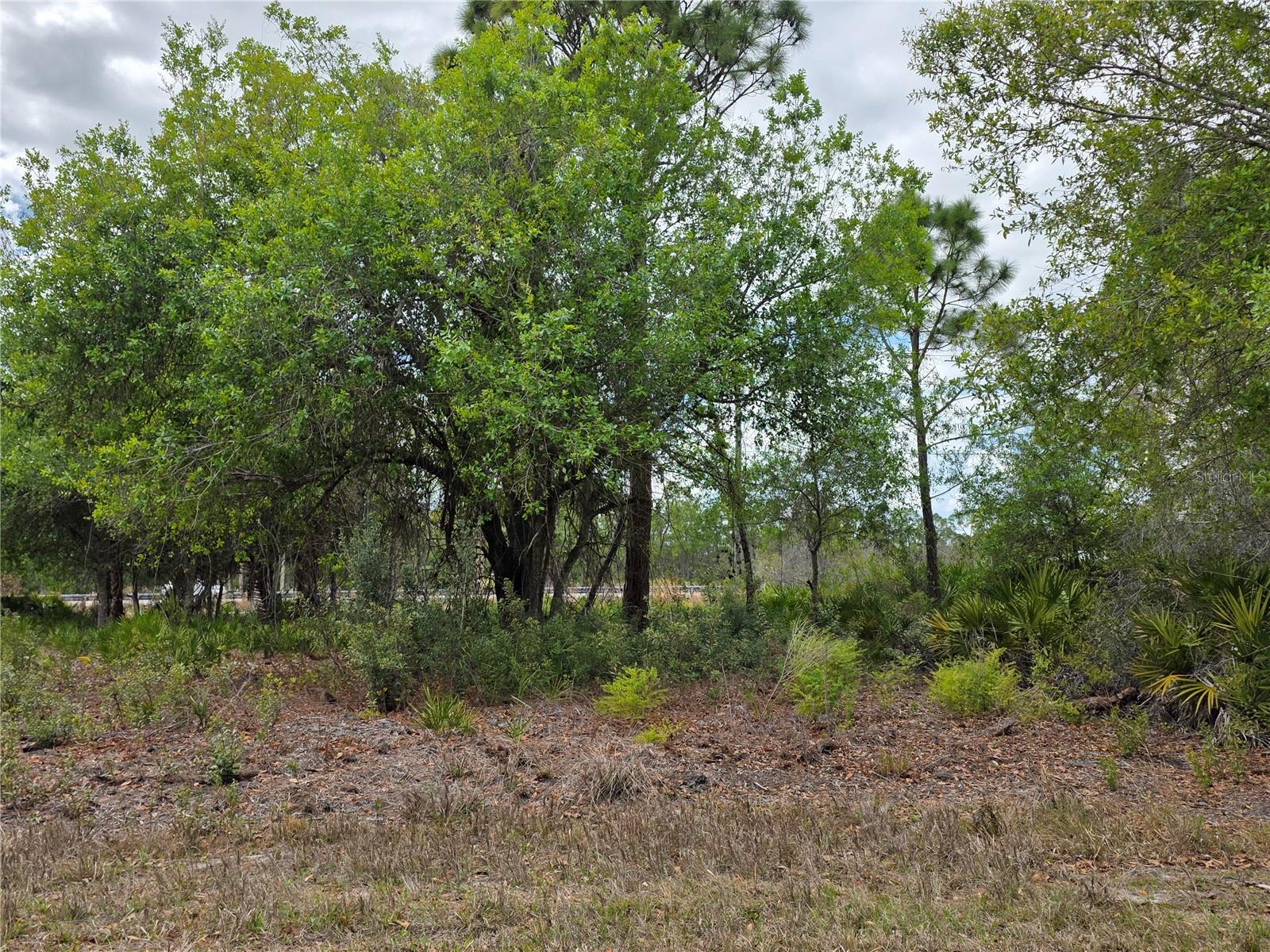 3337 Swanee Road, FL