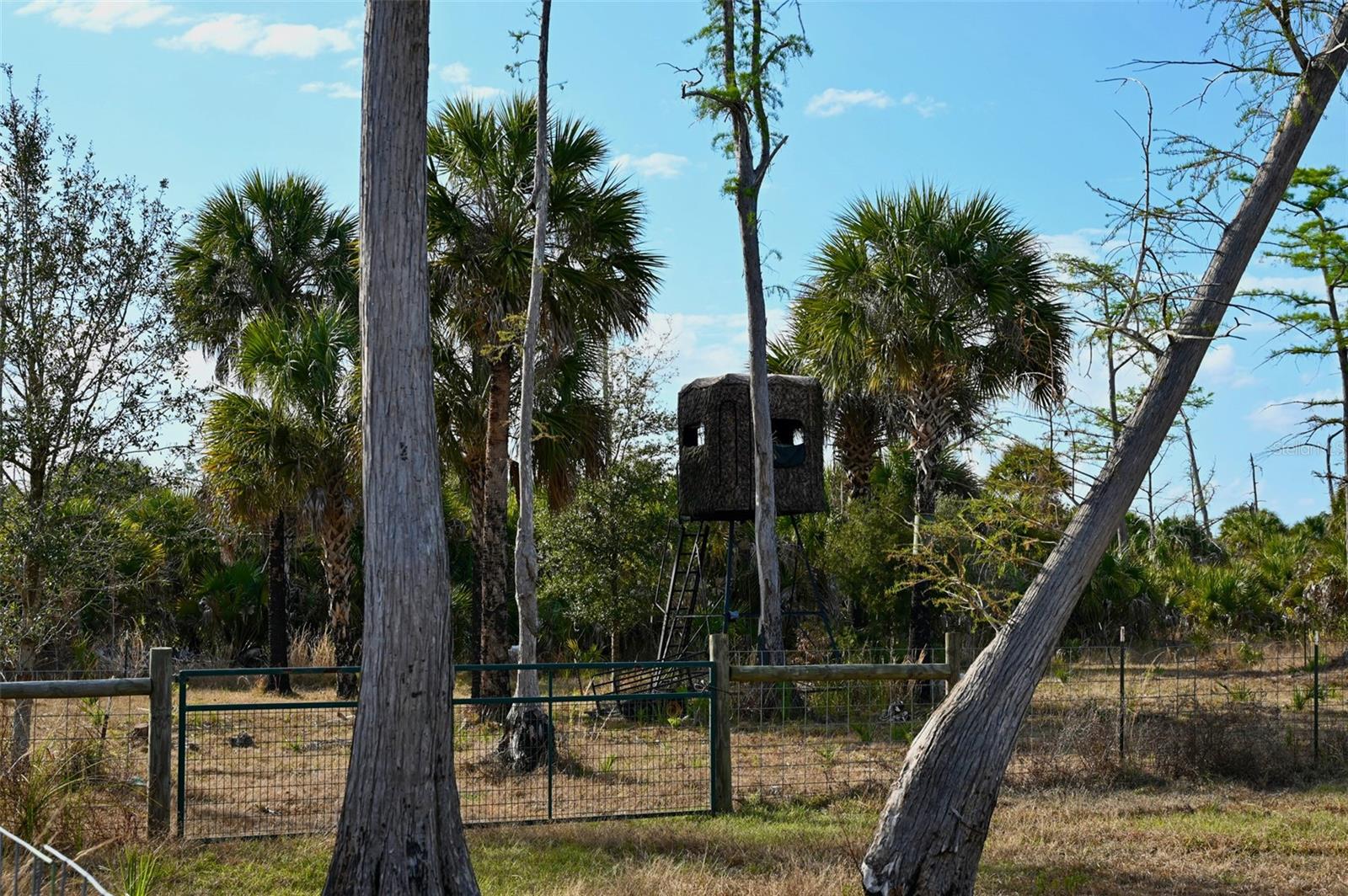 Black Burn Road, FL