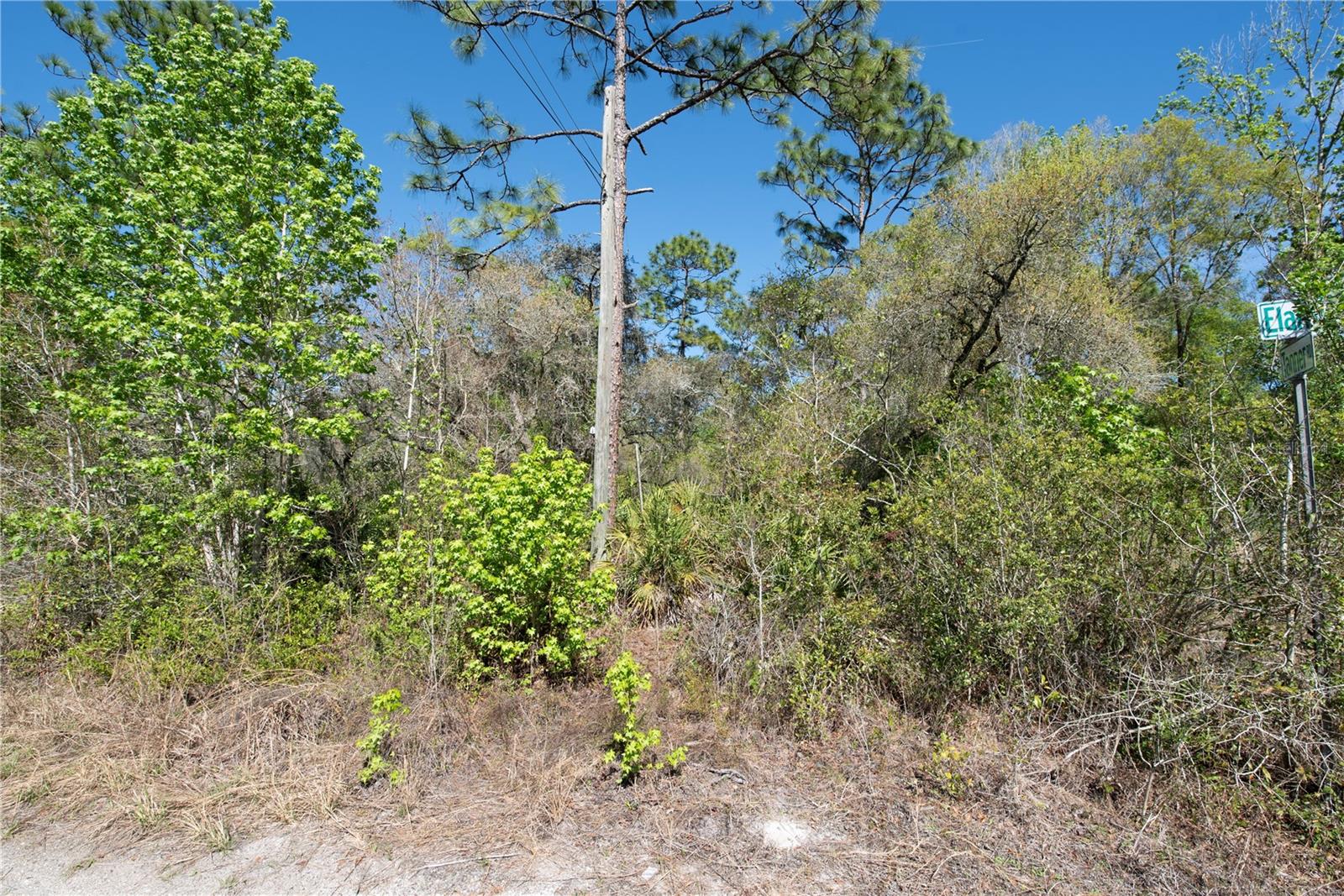 12934 Tanner Road, FL