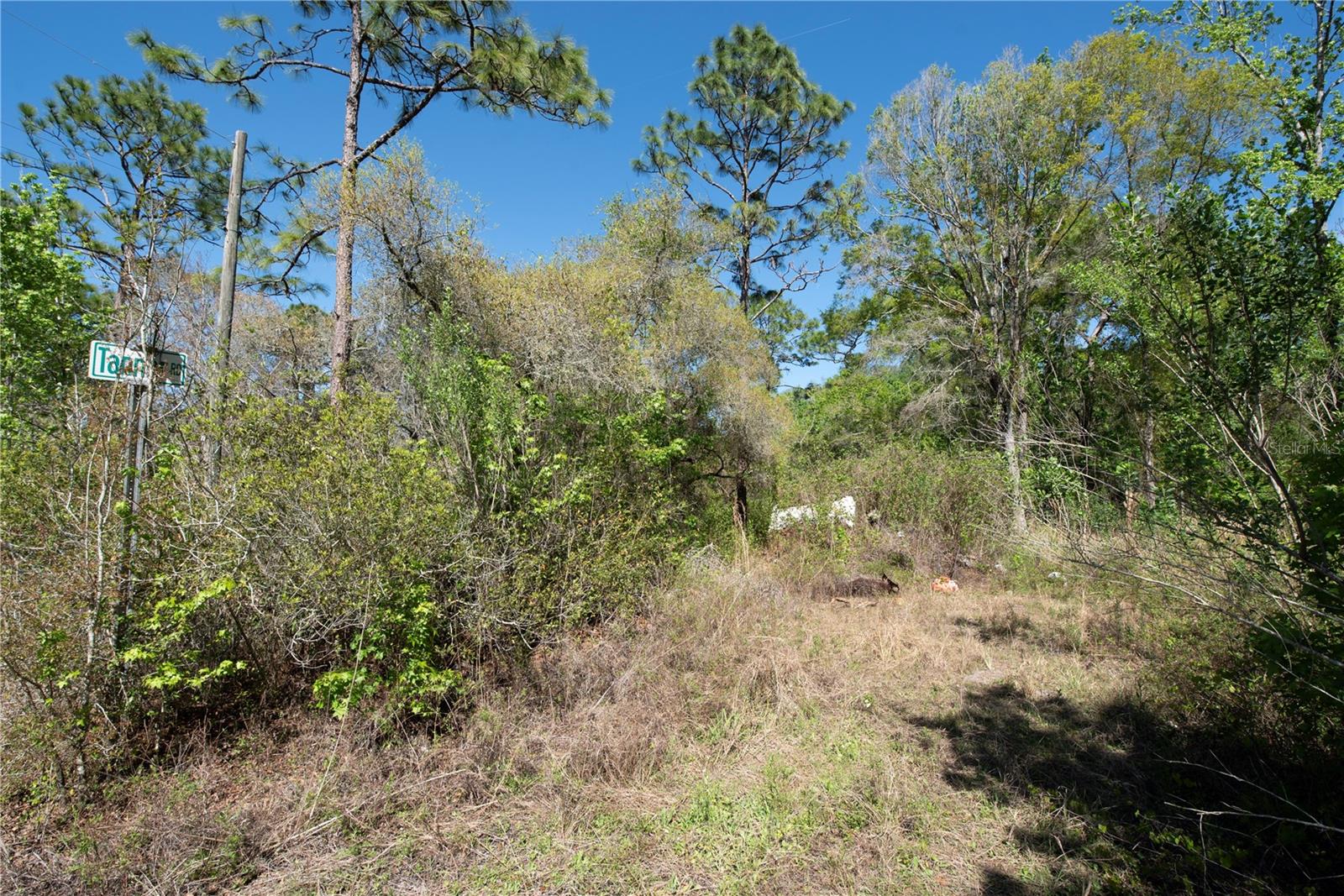 12934 Tanner Road, FL