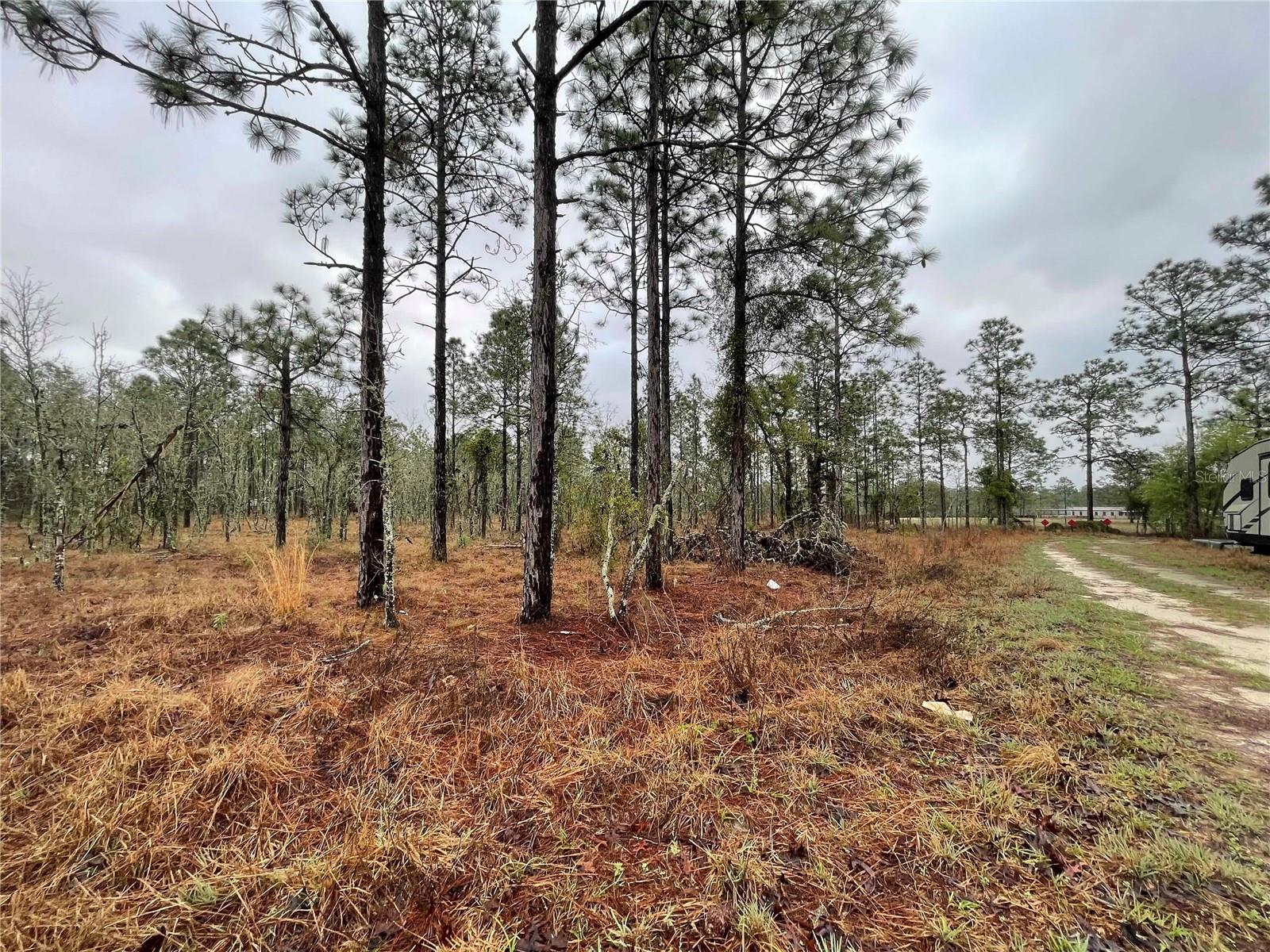 Tbd 71 Street, FL