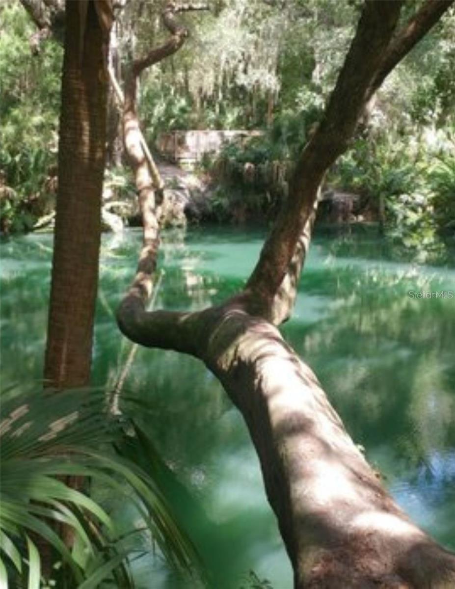 120 Hibiscus Woods Court, FL