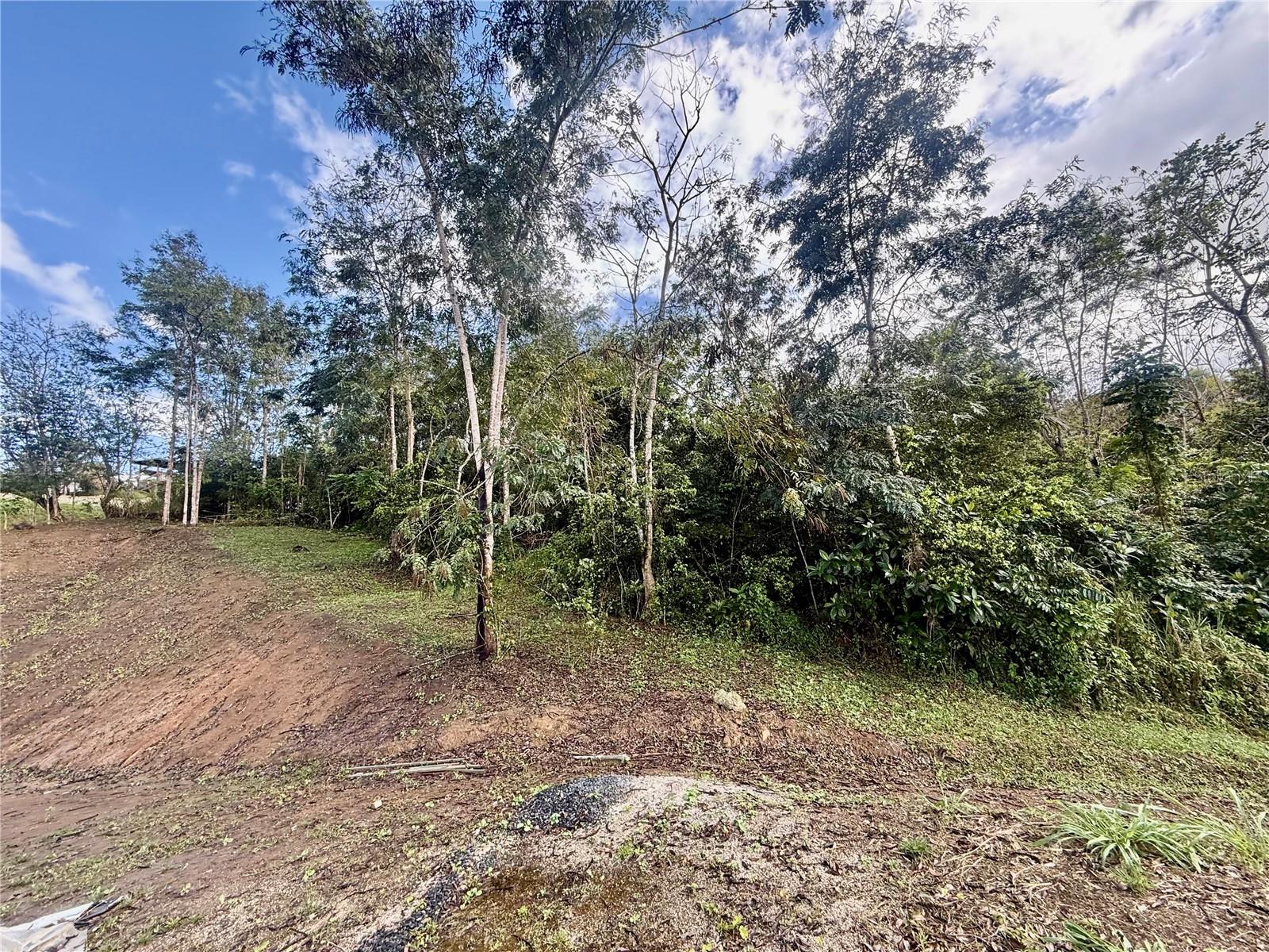Bo RincóN Lomas, PR