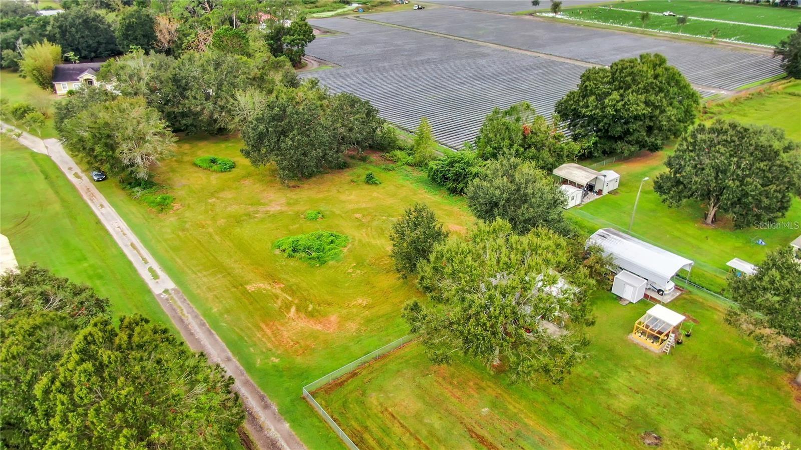 13906 Sweet Blossom Ct, FL
