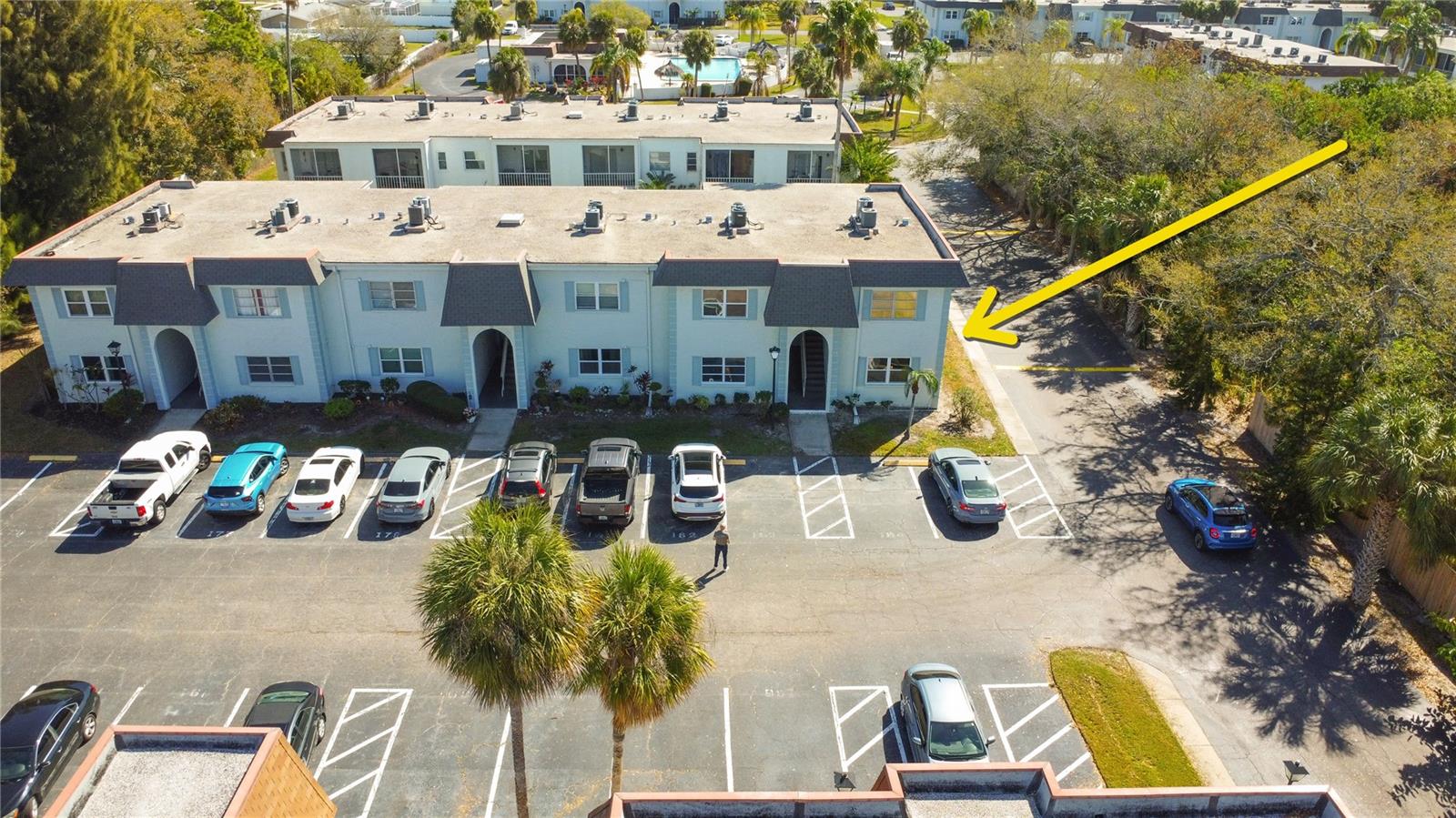 215 Mcmullen Booth Road, FL