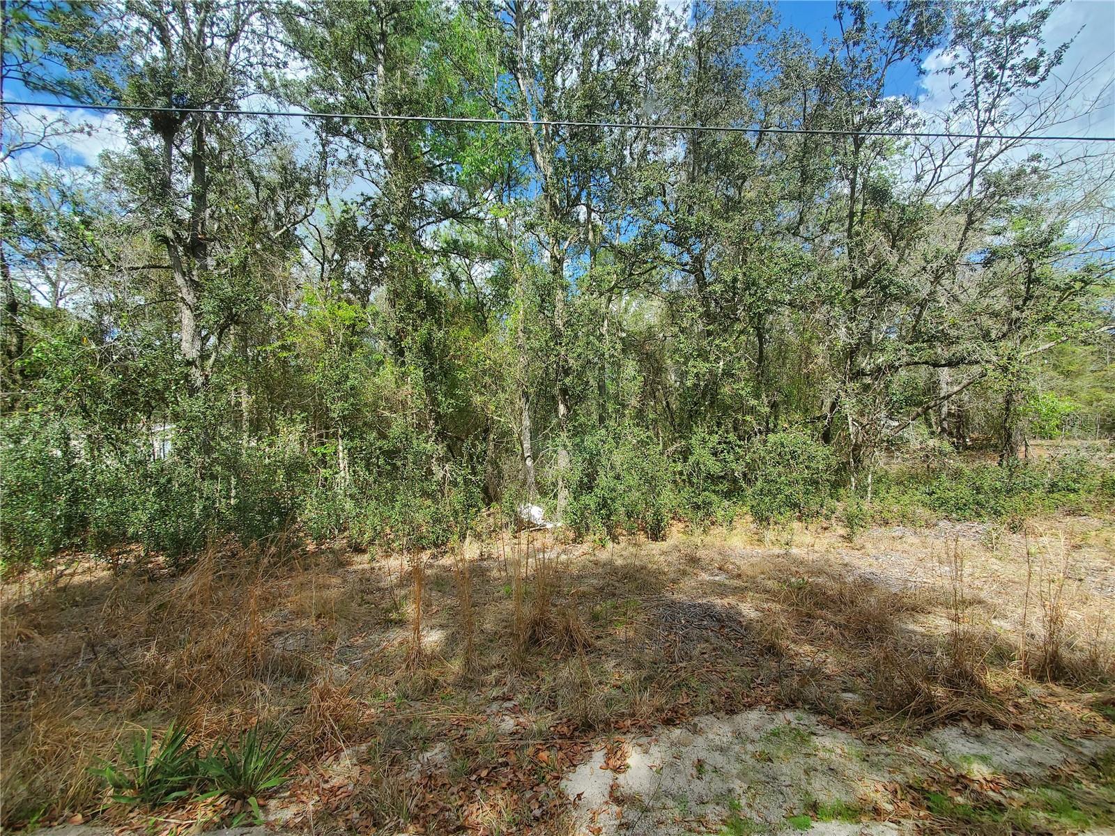 Ne 172nd Pl Lot 11, FL
