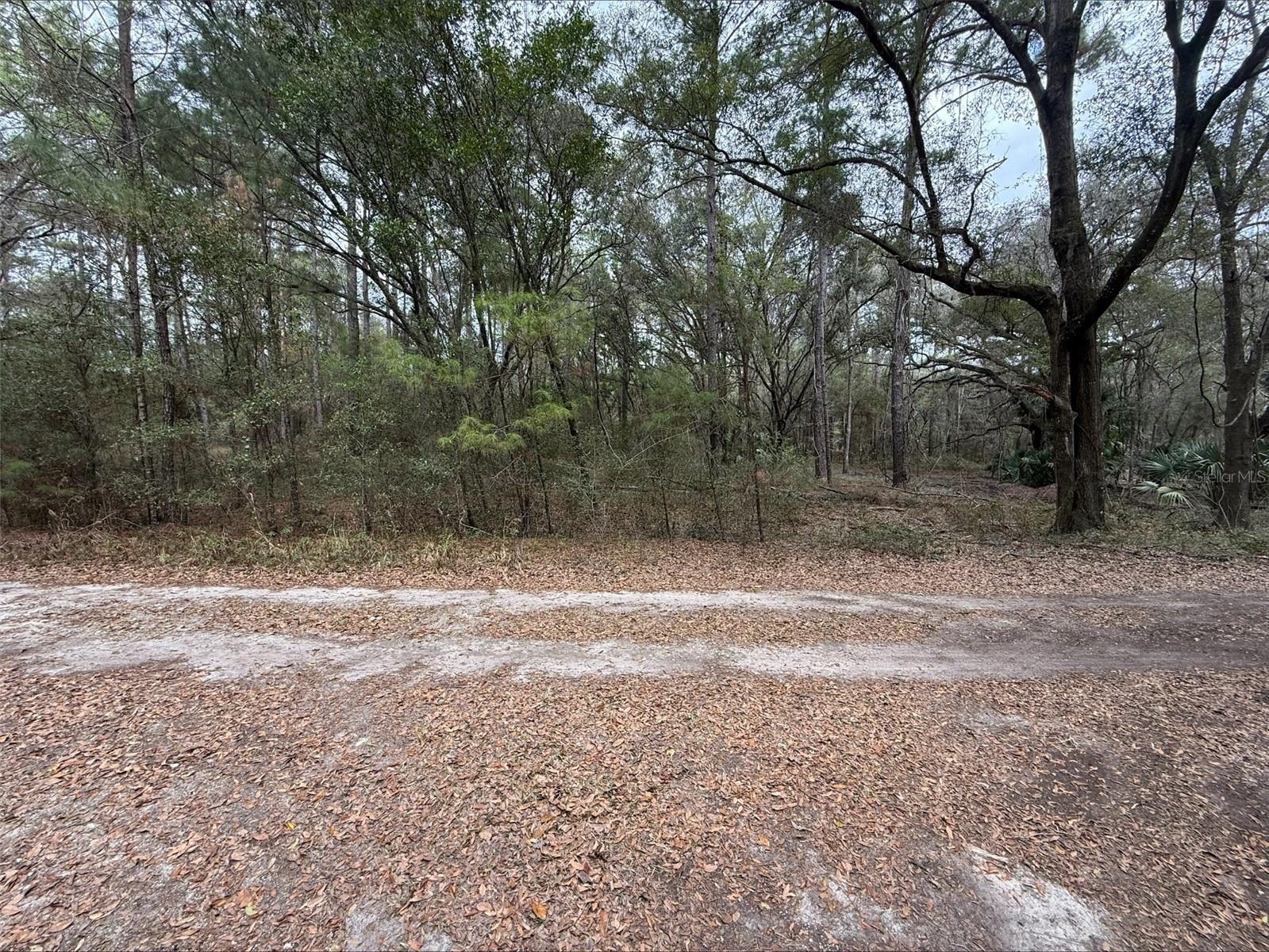 00 Sw 9th Pl, FL