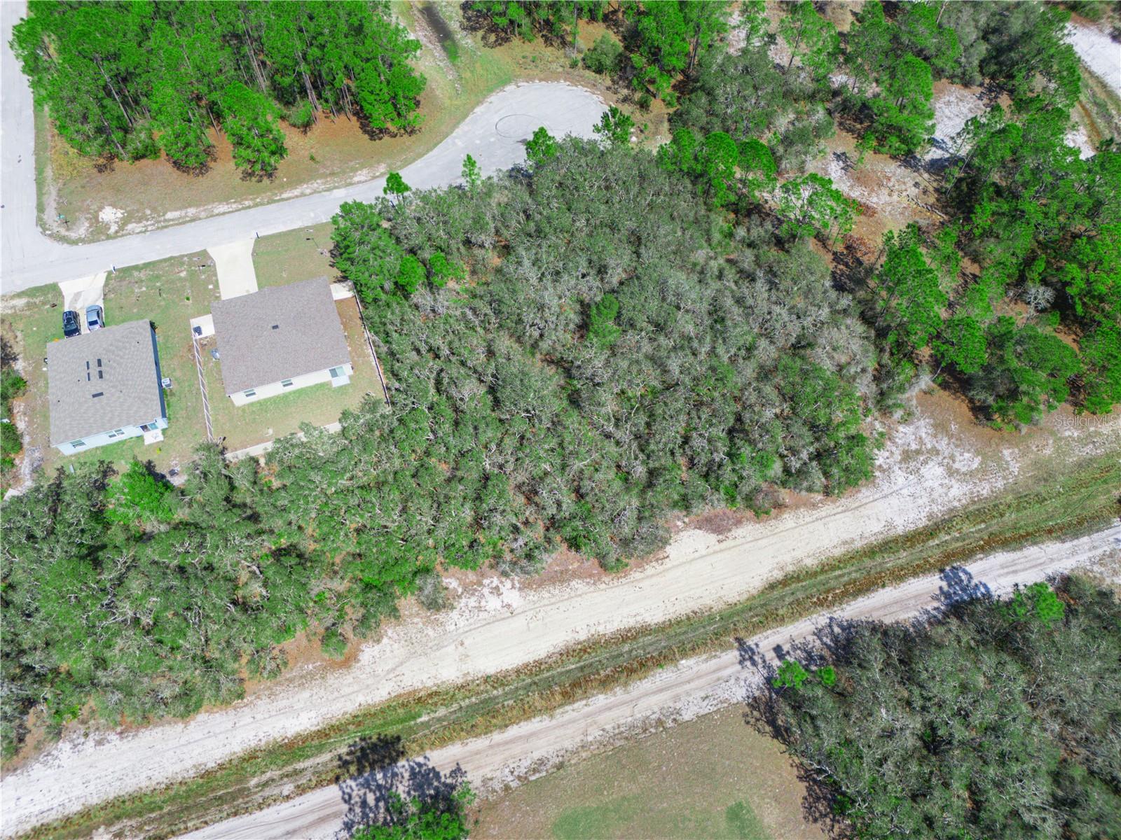 1246 Wahneta Dr, FL