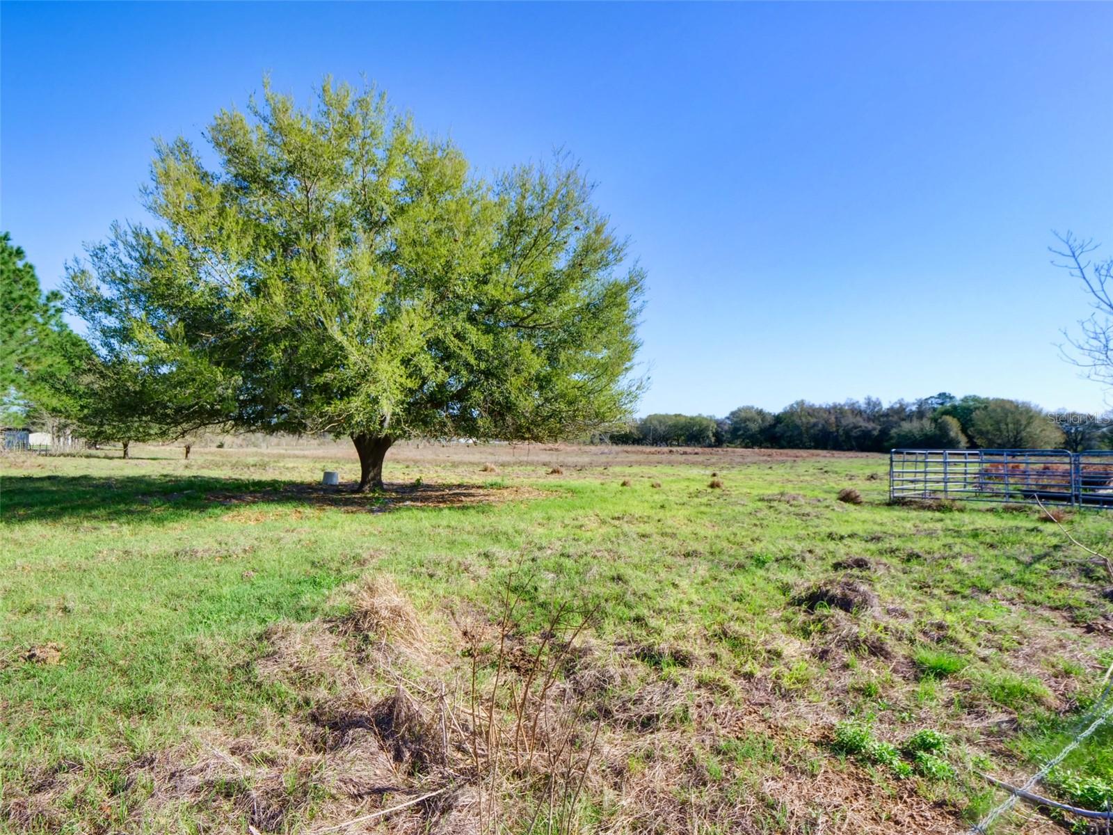 000000- Cr 614a, FL