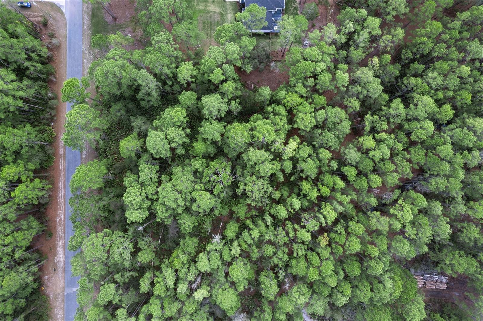 Cashew St, FL