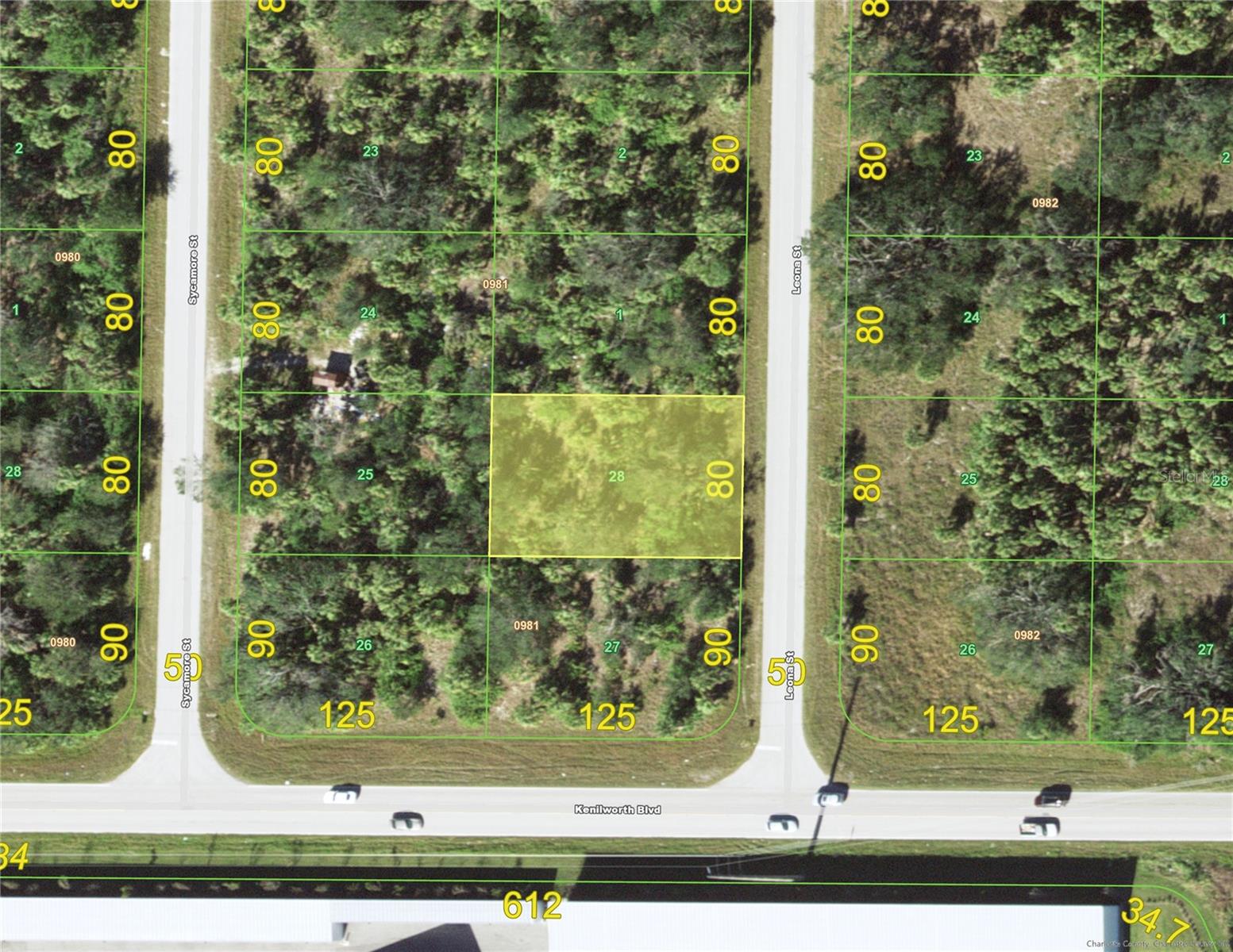493 Leona St, FL