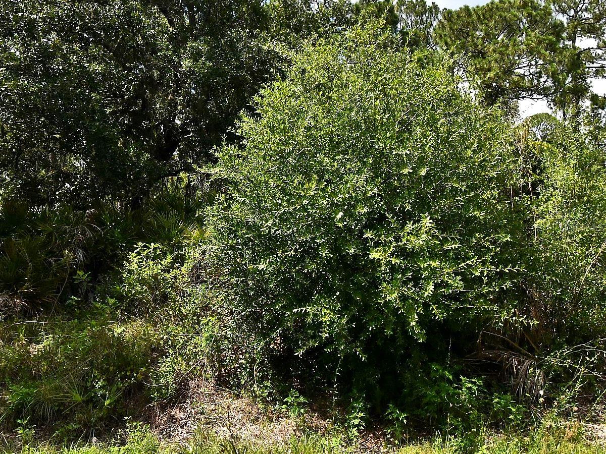 Lot 16 Rentscher Avenue, FL