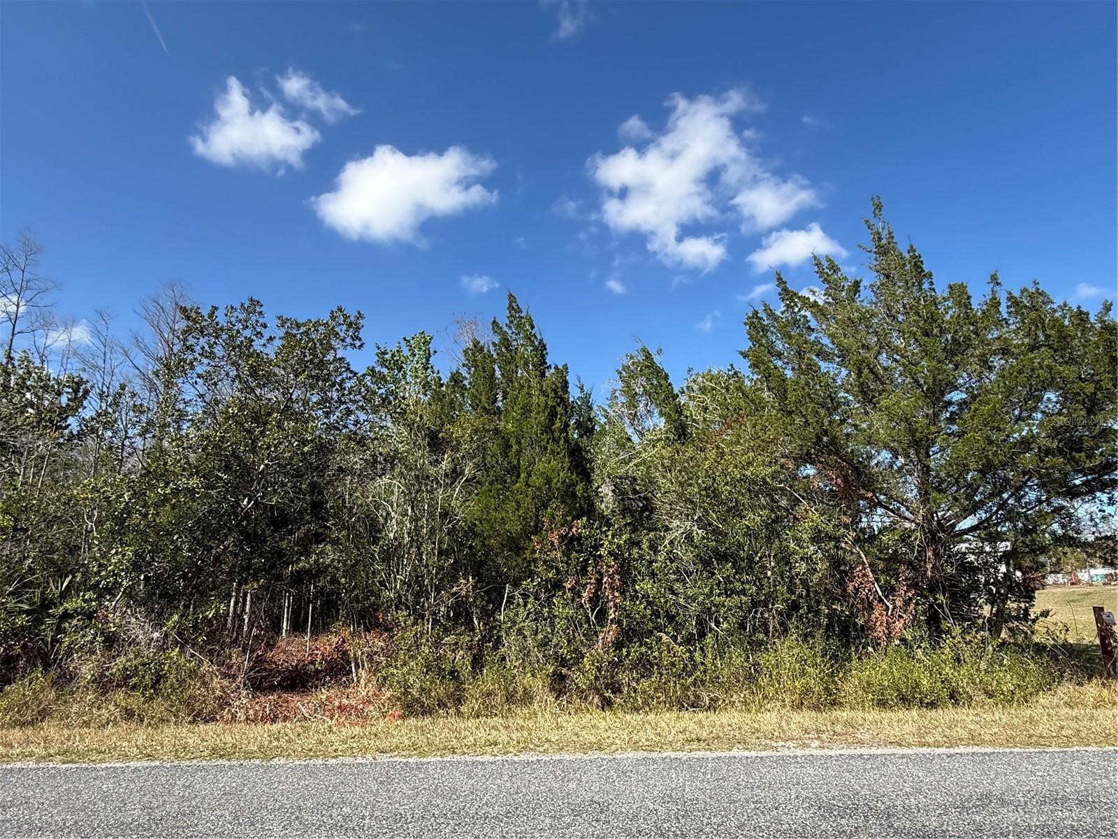 Jupiter Drive, FL