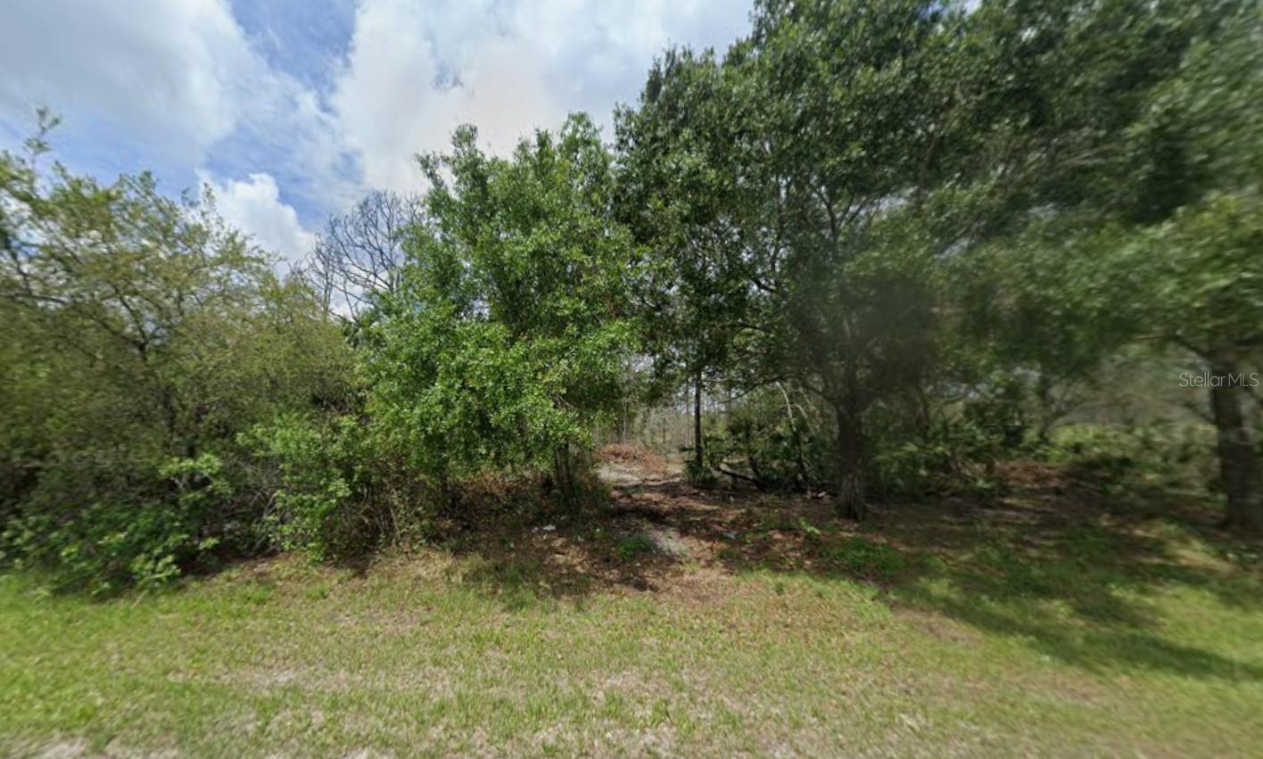 869 Appaloosa Avenue, FL