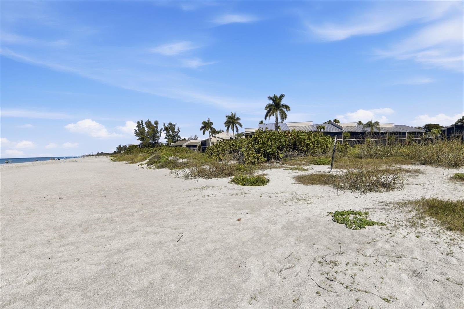 5655 Gulf Of Mexico Drive, FL