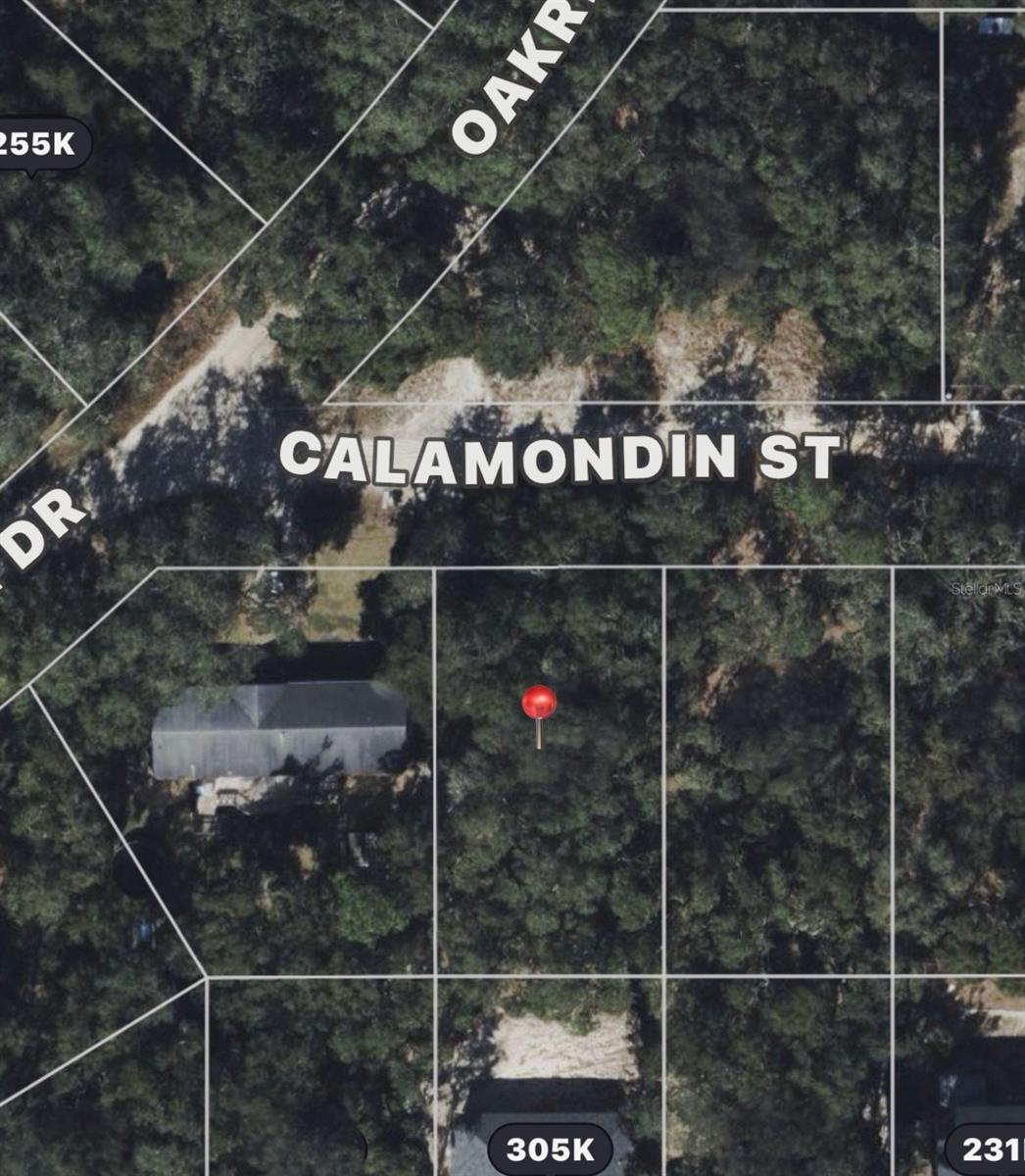 Calamondin St, FL