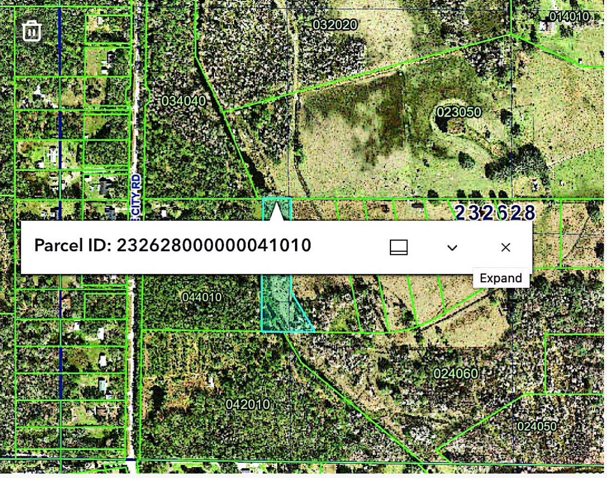 Old Dade City Road, FL