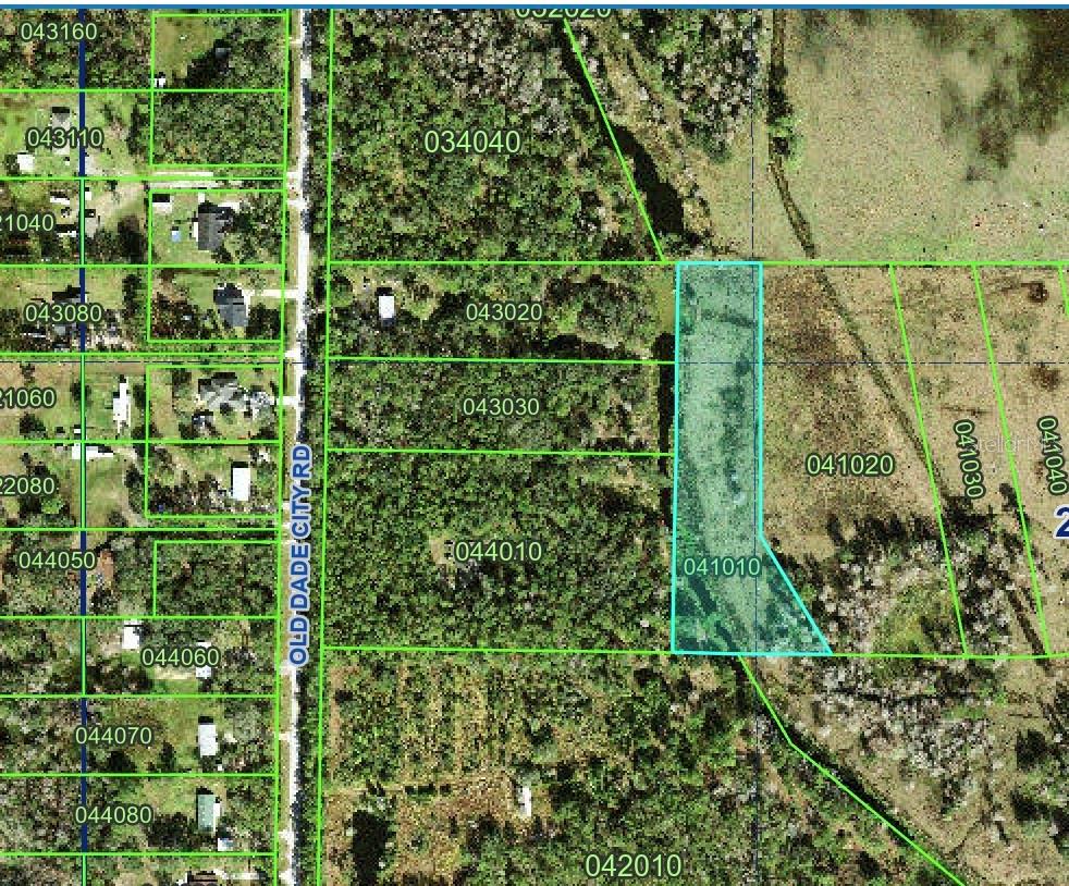 Old Dade City Road, FL