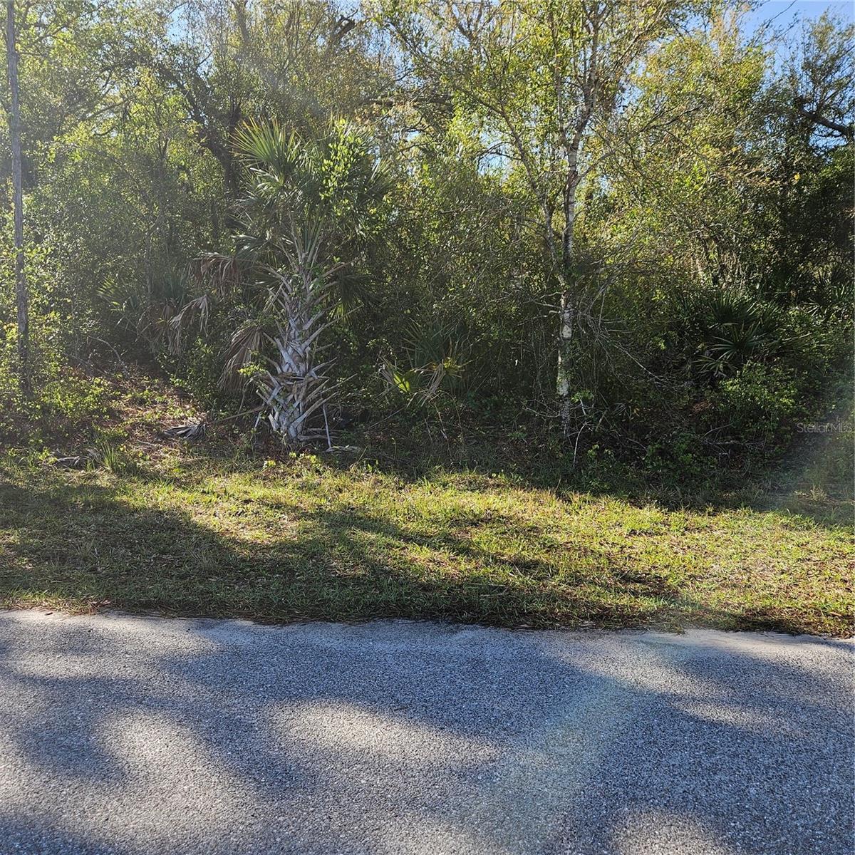 Jaffe Lane, FL