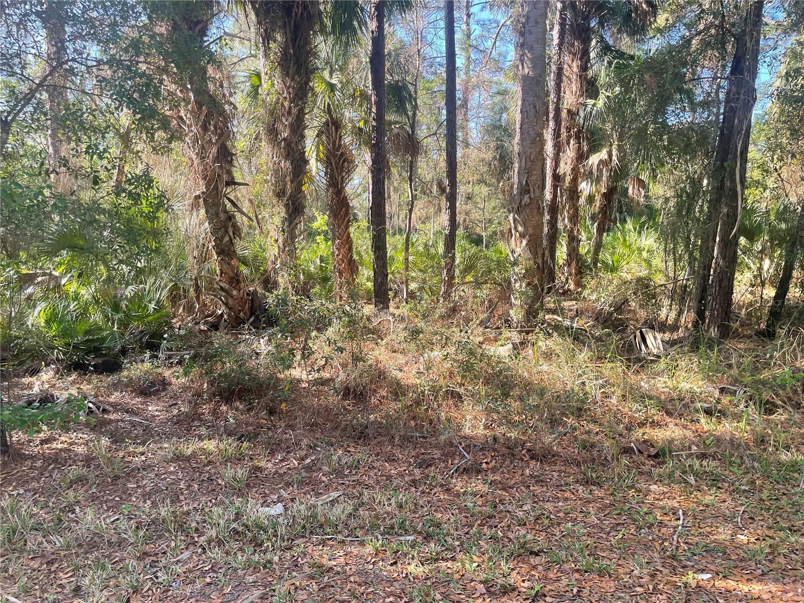 1120 3rd Street, FL