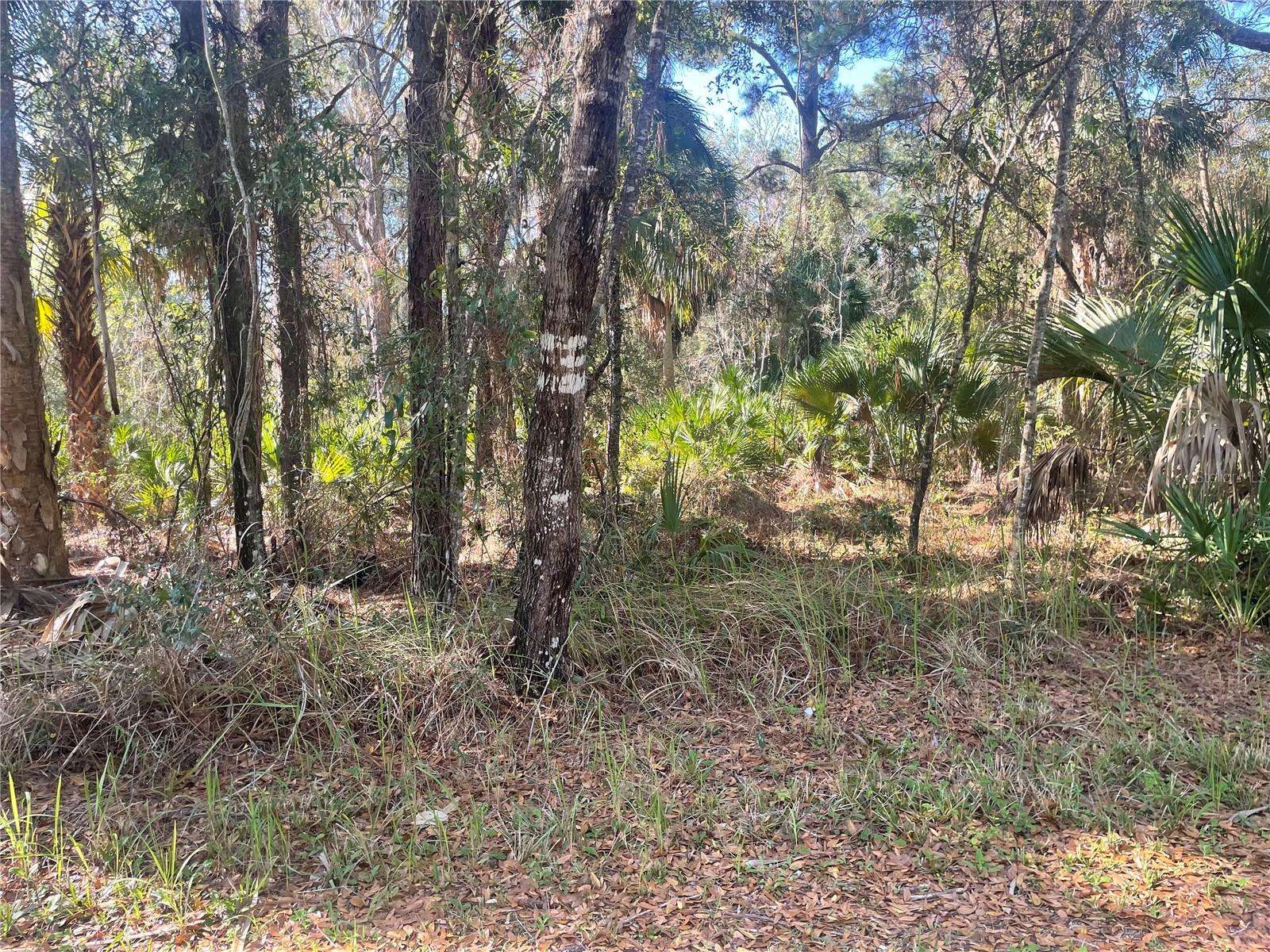 1120 3rd Street, FL