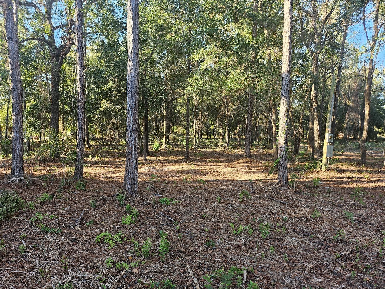 4462 & 4484 Well View Point, FL