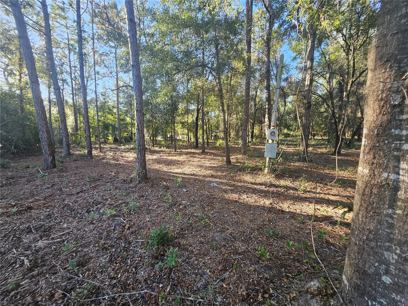 4462 & 4484 Well View Point, FL