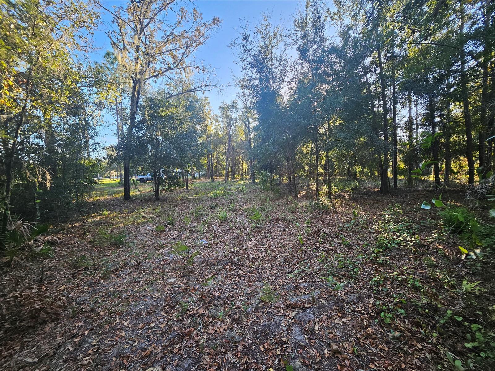 4462 & 4484 Well View Point, FL