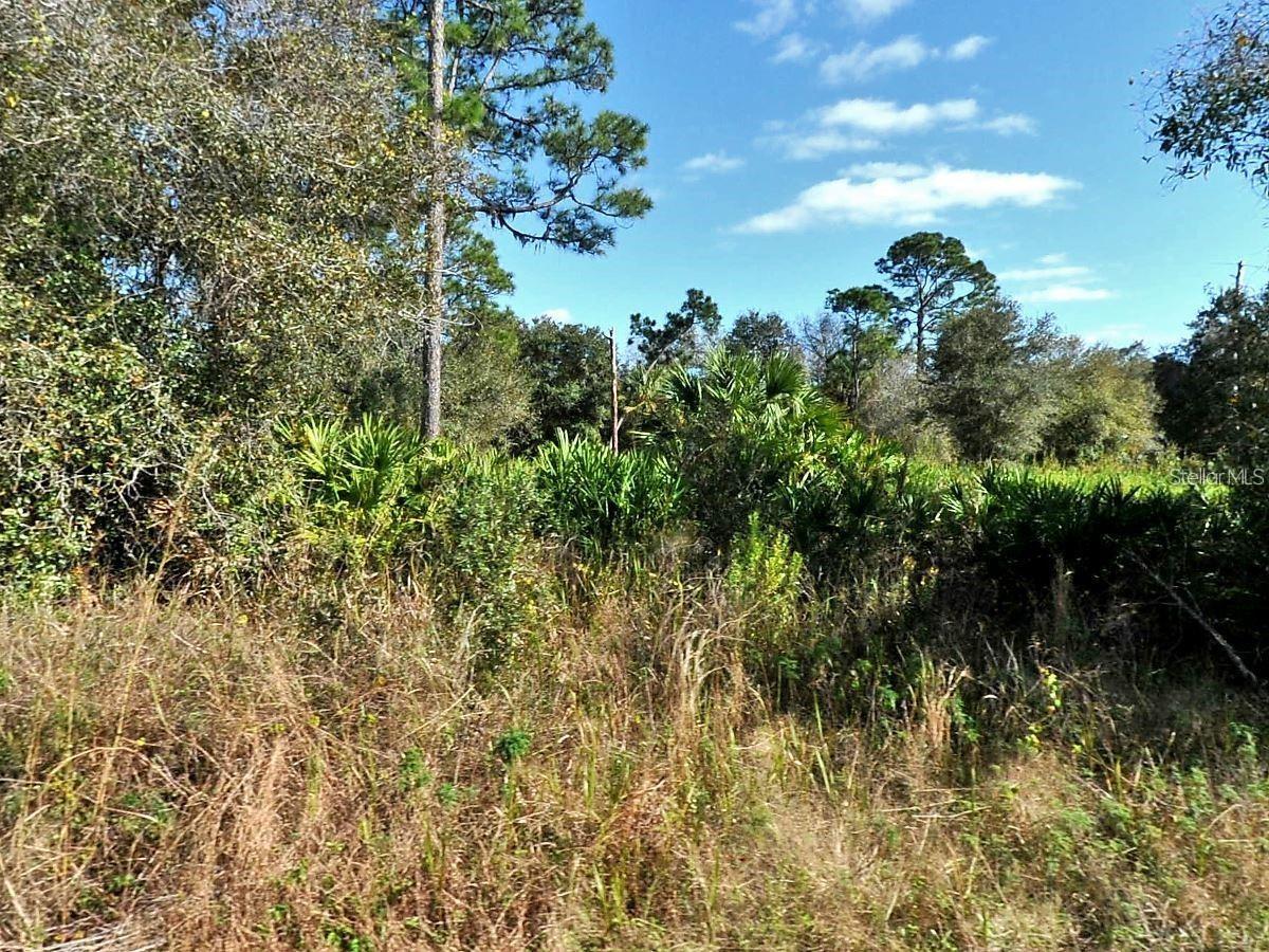 Longfellow Ln, FL