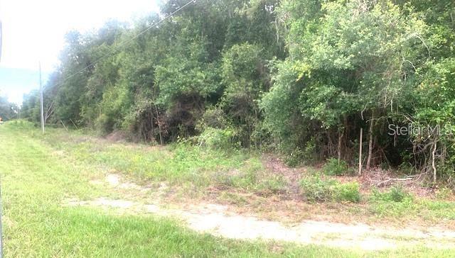 GROVELAND, FL