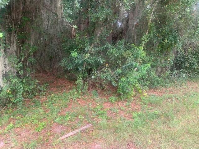 GROVELAND, FL