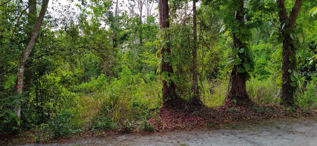 Marjorie Boulevard, FL