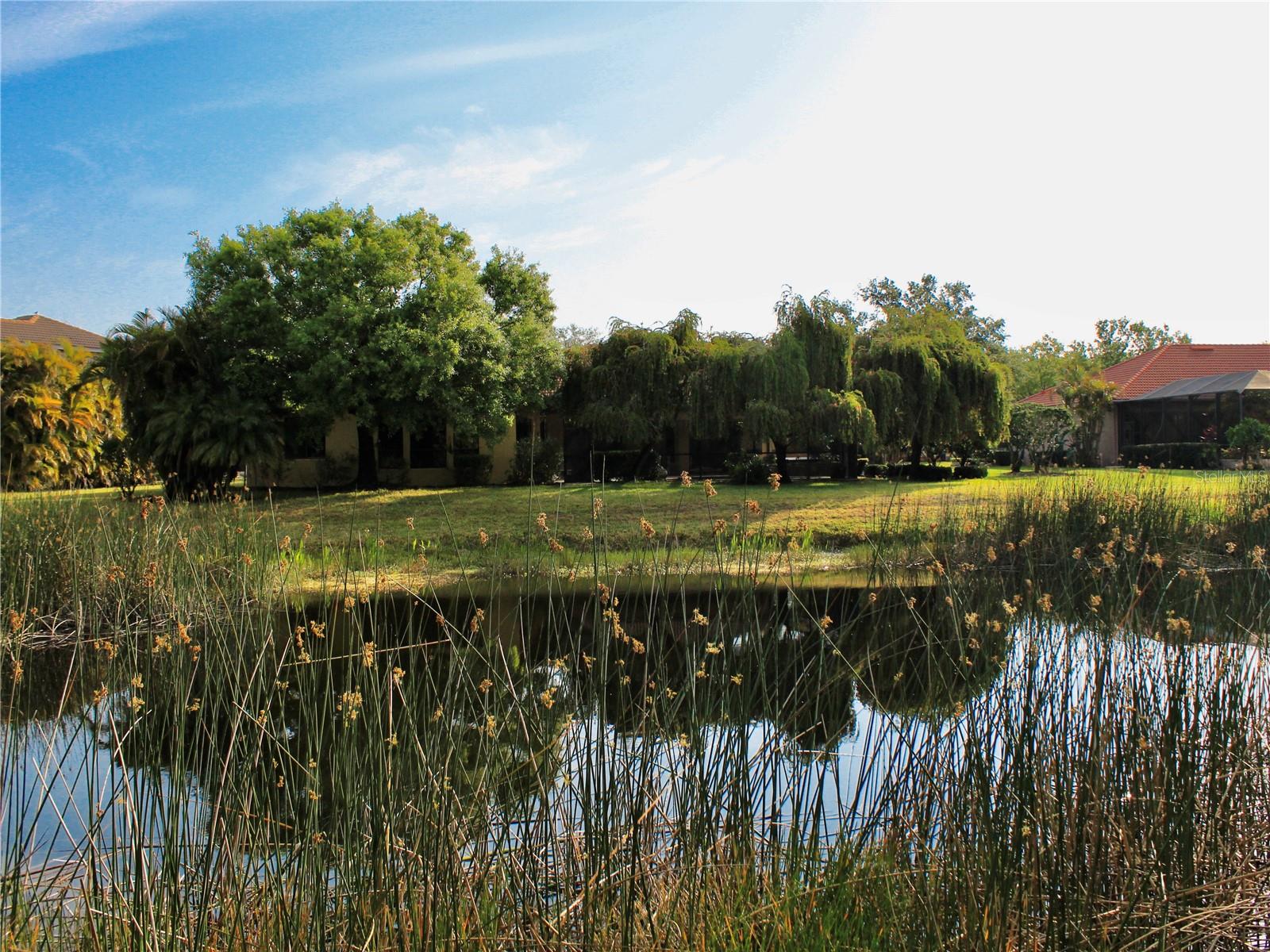 406 Petrel Trail, FL