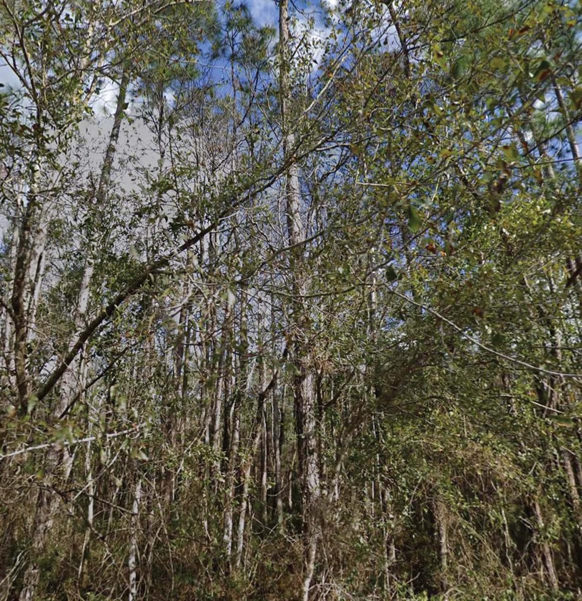 Se 3rd St, FL