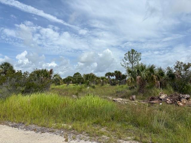 2239 Utopia Ave Sw, FL