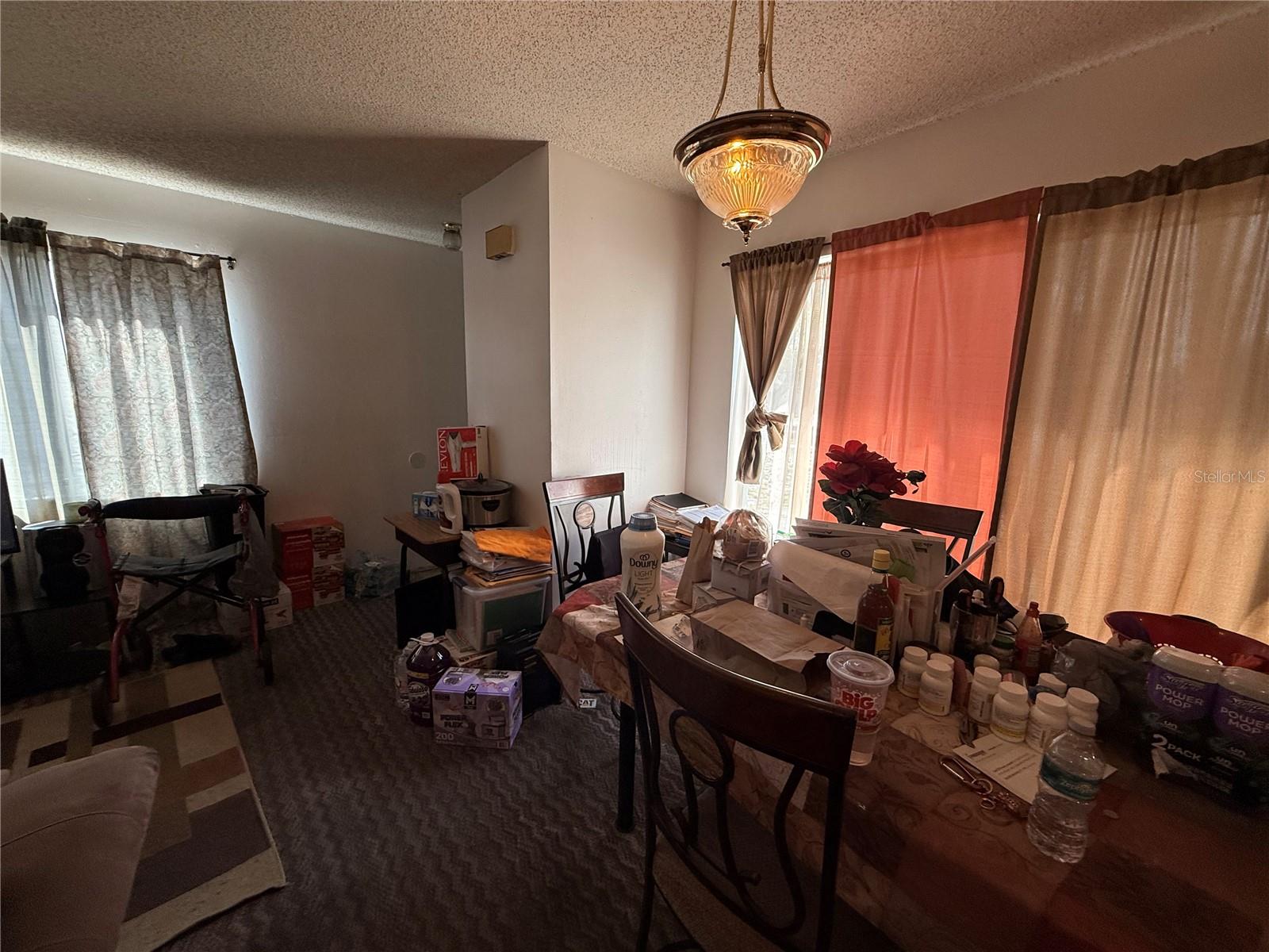 3243 & 3245 Split Willow Drive, FL