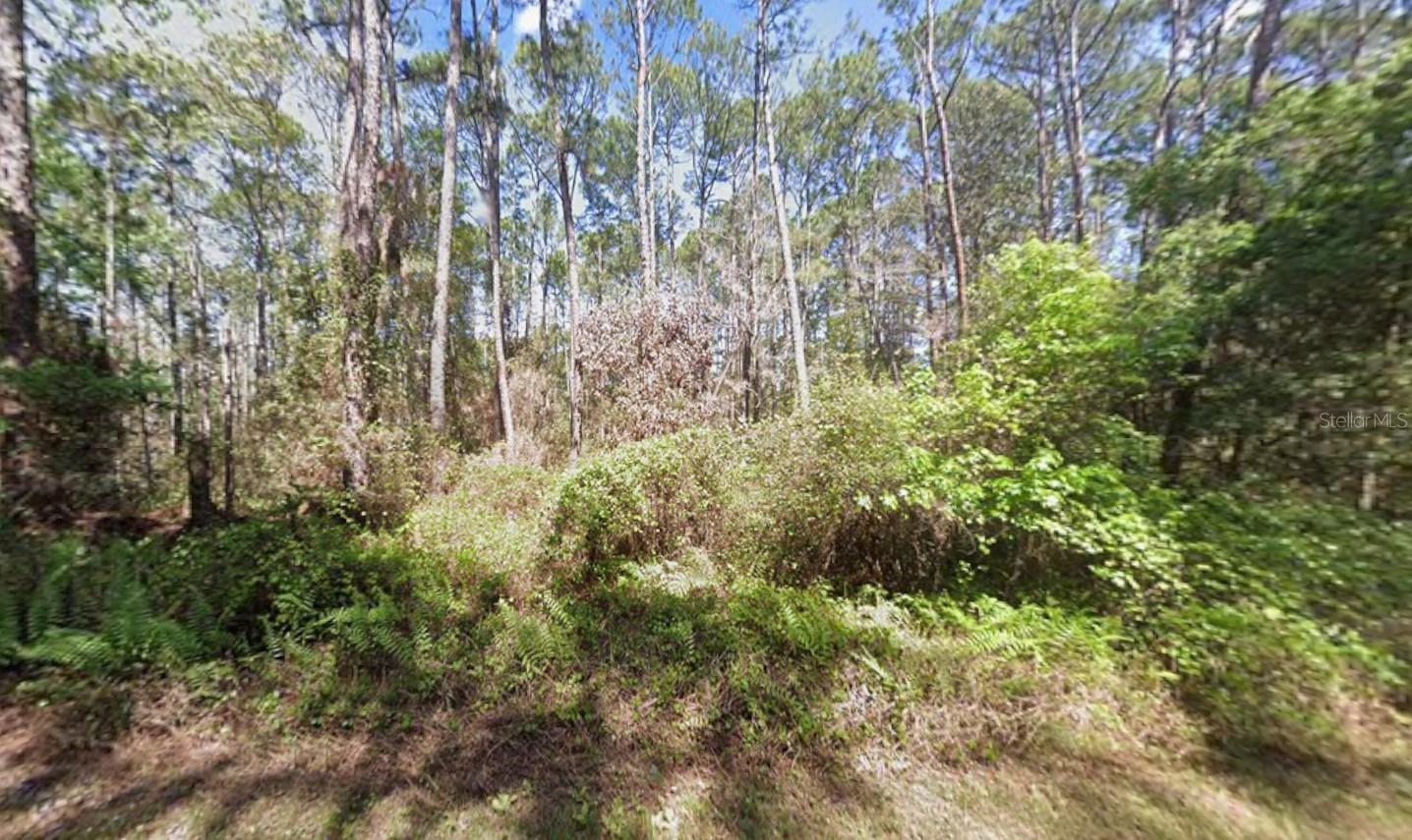 416 Palm Way, FL